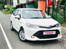 Toyota Axio 2015 Car
