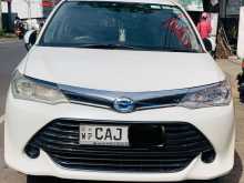 Toyota Axio 2015 Car