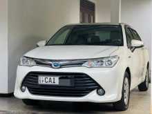 Toyota Axio 2015 Car