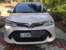 Toyota Axio 2015 Car