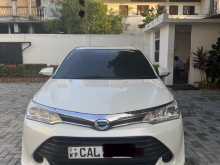 Toyota Axio 2015 Car