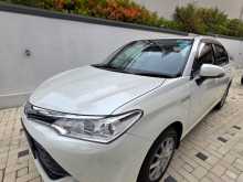 Toyota Axio 2015 Car