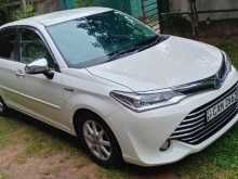 Toyota Axio 2015 Car