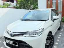 Toyota Axio G Grade 2015 Car