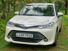 Toyota Axio 2015 Car