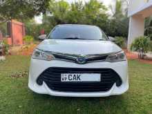 Toyota Axio 2015 Car