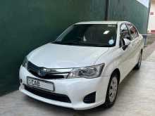 Toyota Axio 2015 Car