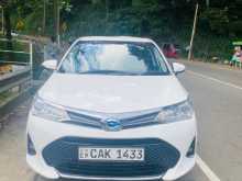 Toyota Axio 2015 Car