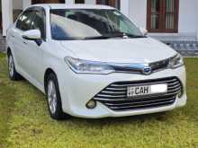 Toyota Axio 2015 Car