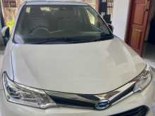 Toyota Axio 2015 Car