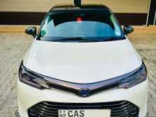Toyota Axio 2015 Car