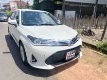 Toyota Axio 2015 Car