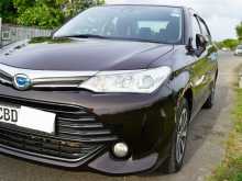 Toyota Axio 2015 Car