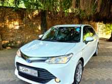 Toyota Axio 2015 Car