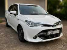 Toyota Axio 2015 Car
