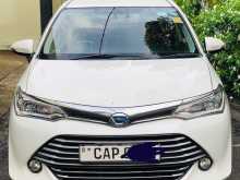 Toyota Axio 2015 Car