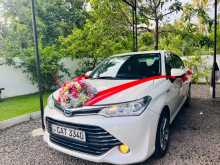 Toyota Axio 2015 Car