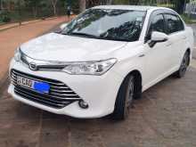 Toyota Axio G Grade 2015 Car