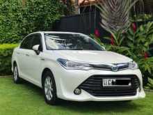 Toyota Axio 2015 Car