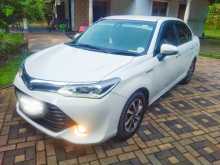 Toyota Axio 2015 Car