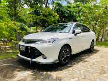Toyota Axio 2015 Car