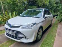 Toyota Axio 2016 Car