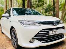 Toyota Axio 2016 Car