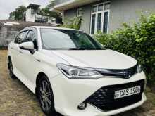 Toyota Axio 2016 Car