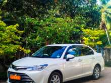 Toyota Axio 2016 Car