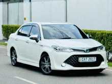 Toyota Axio 2016 Car