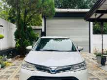 Toyota Axio 2016 Car