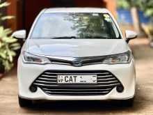 Toyota Axio 2016 Car