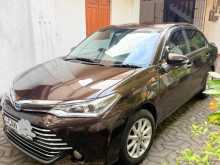 Toyota Axio 2016 Car