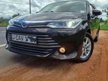 Toyota Axio 2016 Car