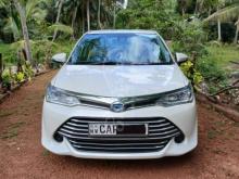 Toyota Axio 2016 Car