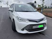 Toyota Axio 2016 Car