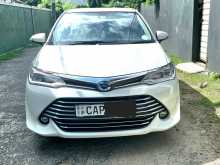 Toyota Axio 2016 Car
