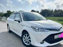 Toyota Axio 2016 Car