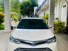 Toyota Axio 2016 Car