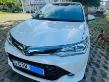 Toyota Axio 2017 Car