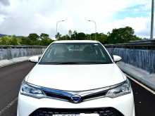 Toyota Axio 2017 Car