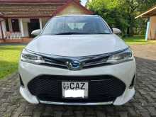 Toyota Axio 2017 Car