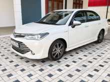 Toyota Axio WXB 2017 Car