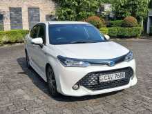 Toyota Axio Wxb 2017 Car
