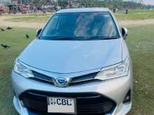 Toyota Axio 2017 Car