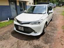Toyota Axio 2017 Car