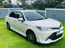 Toyota Axio 2017 Car