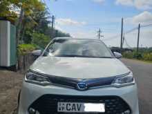 Toyota Axio 2017 Car