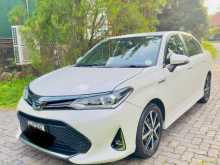 Toyota Axio 2018 Car