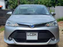 Toyota Axio 2018 Car